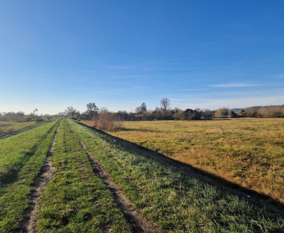 Gorzów Wielkopolski, Wieprzyce - 1700000 zł (nr 1019/2301/OGS)