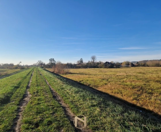 Gorzów Wielkopolski, Wieprzyce - 1700000 zł (nr 1019/2301/OGS)