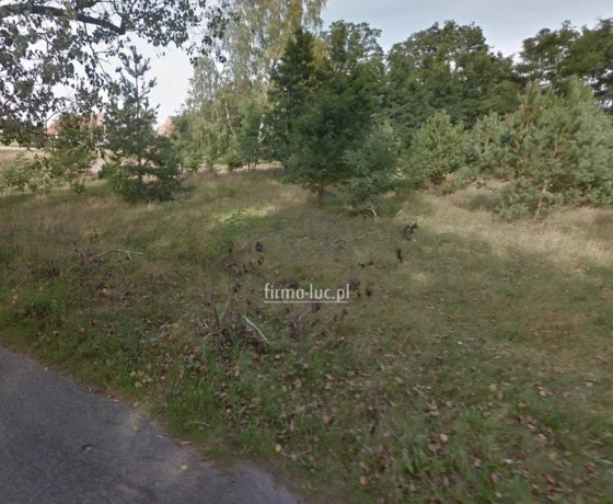 Działka na sprzedaż, Goszczanowiec - 88 827 zł