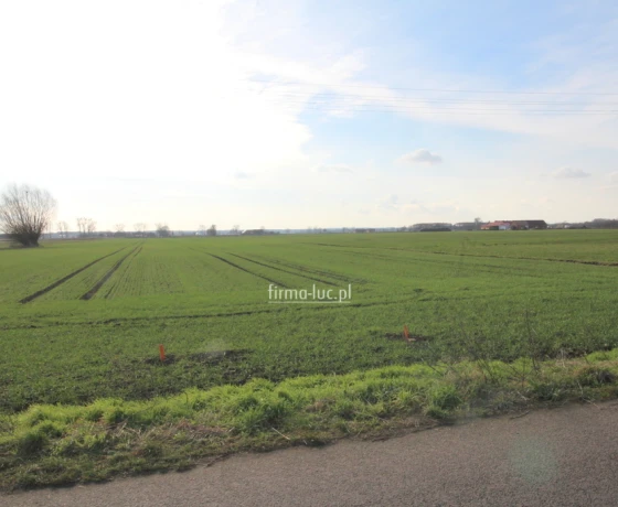 Działka na sprzedaż, Krzeszyce - 149 000 zł