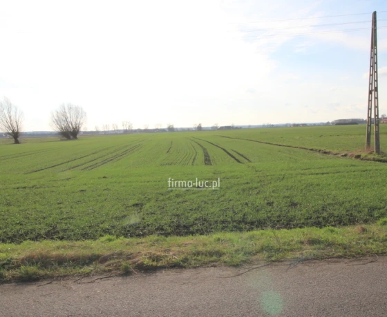 Krzeszyce, Os. Osiedle - 149000 zł (nr 1364/2562/OGS)