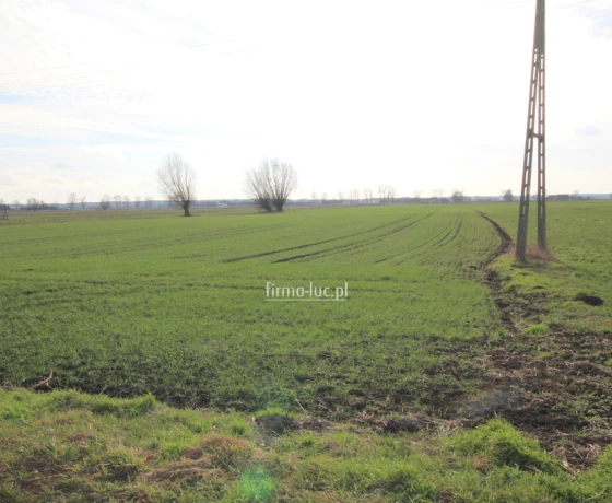 Krzeszyce, Os. Osiedle - 149000 zł (nr 1364/2562/OGS)