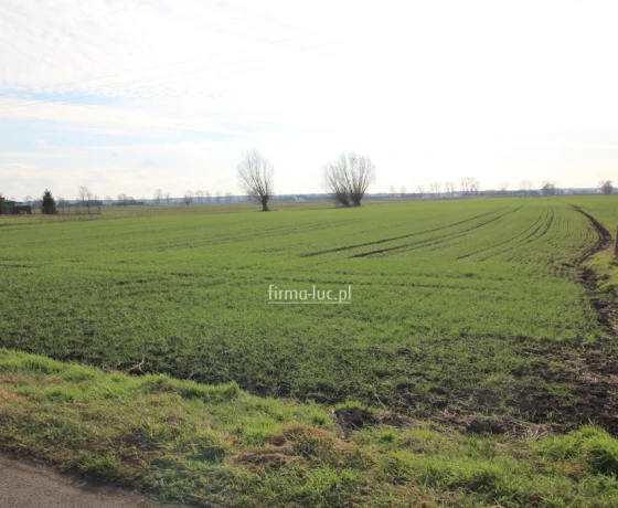 Krzeszyce, Os. Osiedle - 149000 zł (nr 1364/2562/OGS)