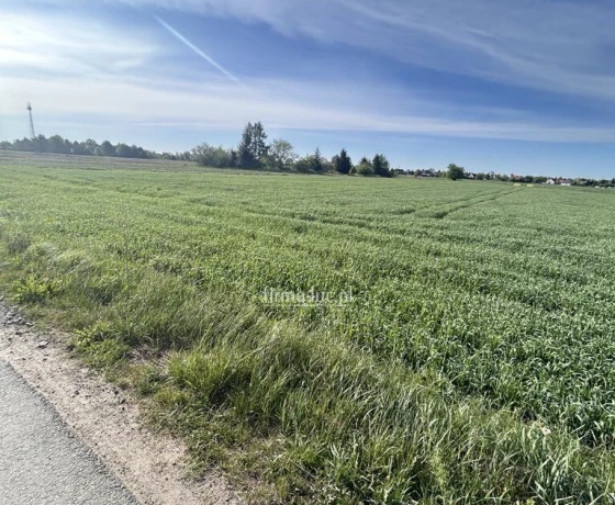 Gorzów Wielkopolski, Siedlice, Skrajna - 325000 zł (nr 1367/2562/OGS)