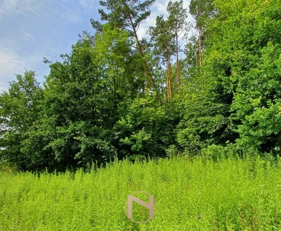 Jenin - 154000 zł (nr 1023/2301/OGS)