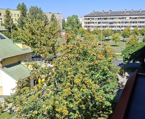 Gorzów Wielkopolski, Górczyn - 239900 zł (nr 1585/2301/OMS)