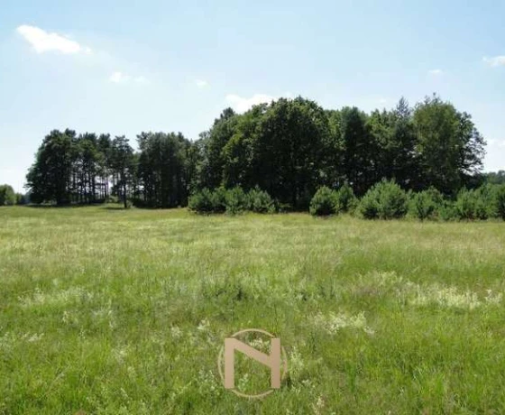 Łośno - 221360 zł (nr 196/3070/OGS)