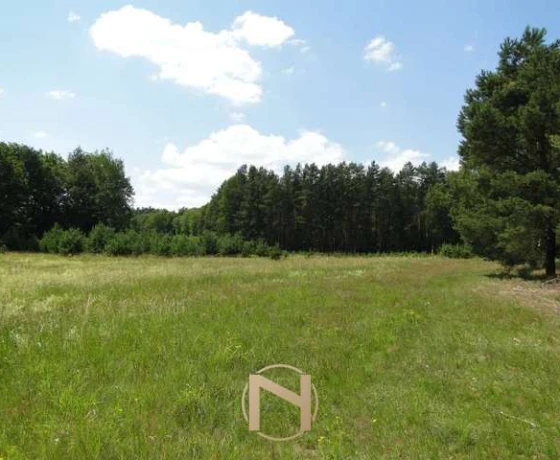 Łośno - 221360 zł (nr 196/3070/OGS)