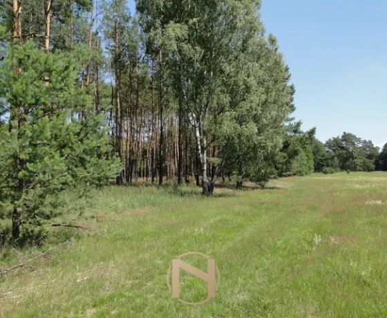 Łośno - 221360 zł (nr 196/3070/OGS)
