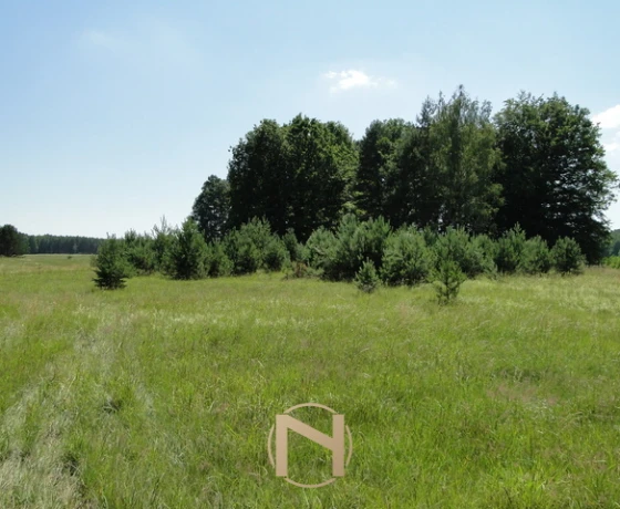 Łośno - 221360 zł (nr 196/3070/OGS)