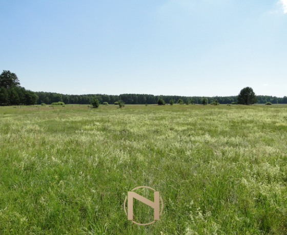Łośno - 221360 zł (nr 196/3070/OGS)