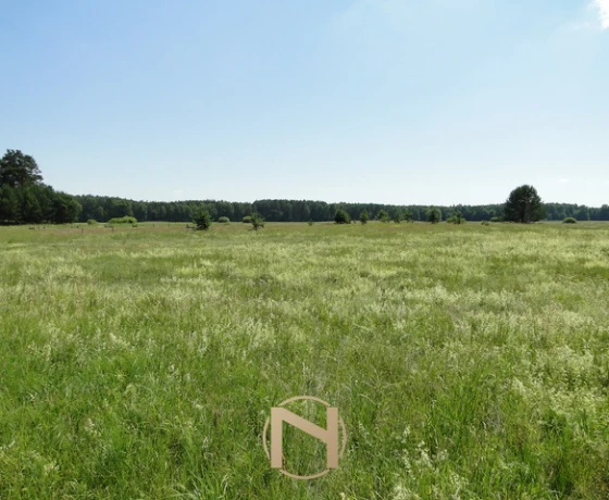 Łośno - 221360 zł (nr 196/3070/OGS)