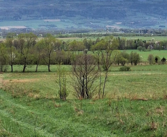 Jaworek - 566400 zł (nr 1028/2301/OGS)