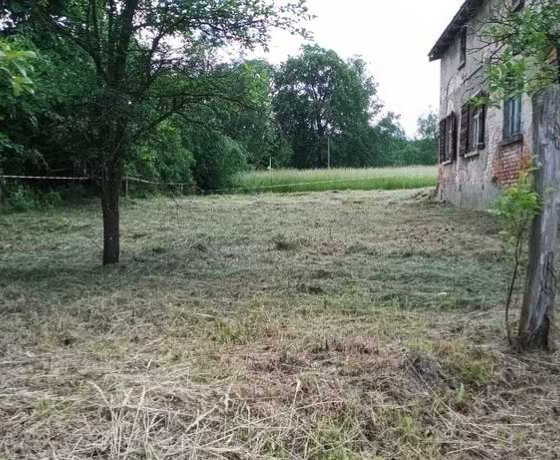 Chrapów - 250000 zł (nr 783/2301/ODS)