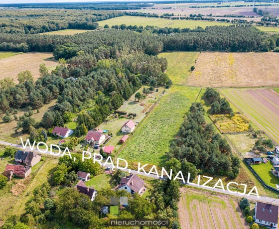 Wysoka - 112750 zł (nr 172/1987/OGS)