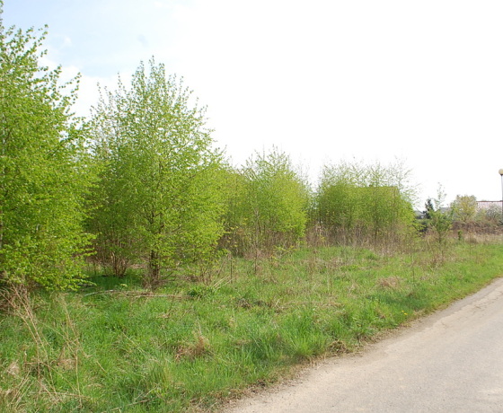 Działka na sprzedaż, Kłodawa - 325 000 zł
