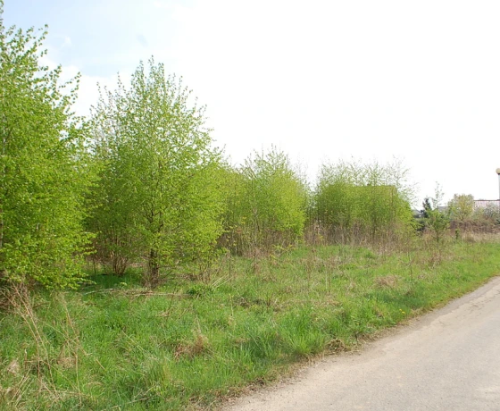 Działka na sprzedaż, Kłodawa - 325 000 zł