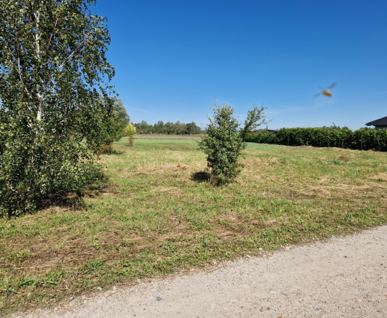 Osiedle Poznańskie - 240000 zł (nr 1038/2301/OGS)