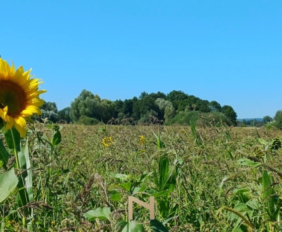 Działka na sprzedaż, Włostów - 204 120 zł