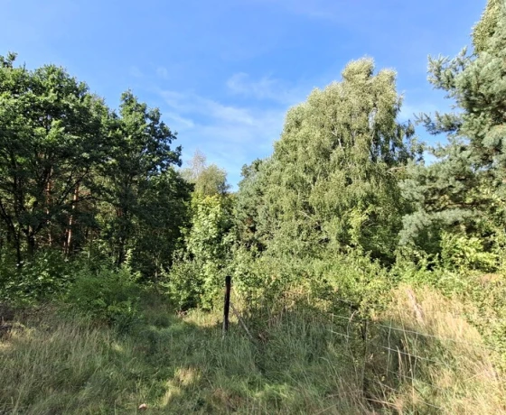 Działka na sprzedaż, Bogdaniec - 120 000 zł