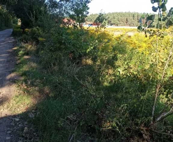 Karnin - 135000 zł (nr 1042/2301/OGS)