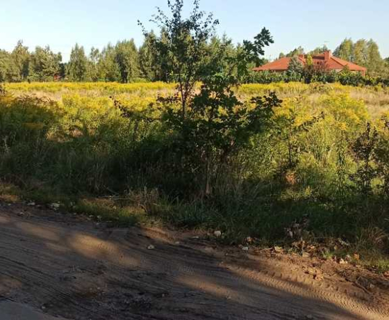 Działka na sprzedaż, Karnin - 135 000 zł