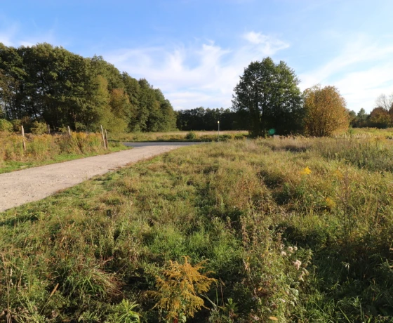 Działka na sprzedaż, Santocko - 124 300 zł