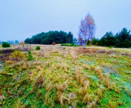Działka na sprzedaż, Karnin - 204 525 zł