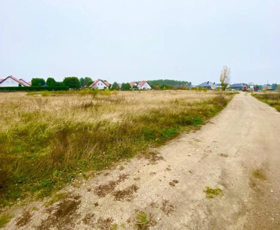 Karnin - 125000 zł (nr 1052/2301/OGS)