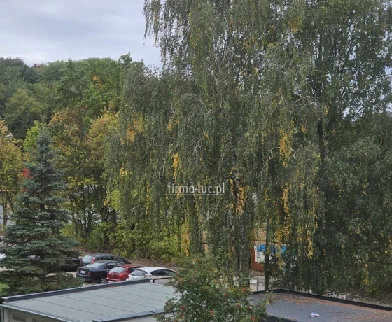 Gorzów Wielkopolski, Górczyn, Czereśniowa - 589900 zł (nr 2622/2562/OMS)