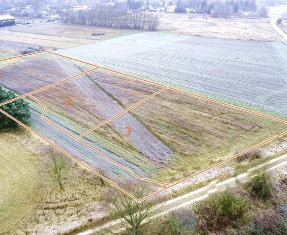 Działka na sprzedaż, Stare Polichno - 102 410 zł