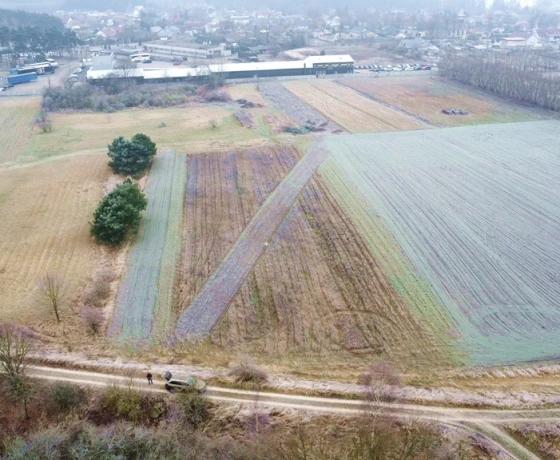 Stare Polichno - 102410 zł (nr 3/17696/OGS)