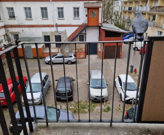 Gorzów Wielkopolski, Centrum - 1900 zł (nr 867/2301/OMW)