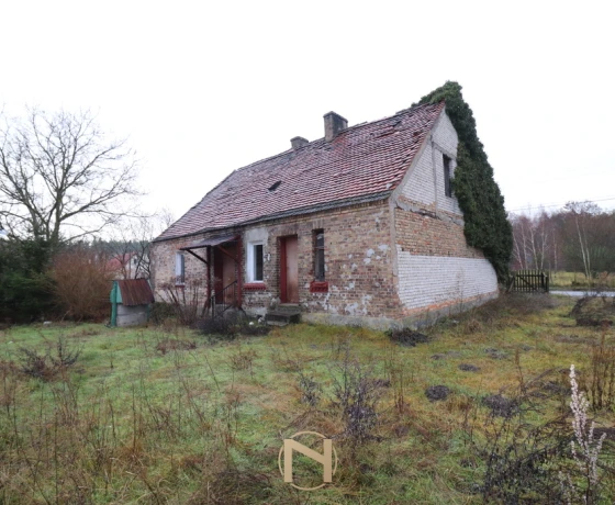 Brzeźno - 360000 zł (nr 1061/2301/OGS)