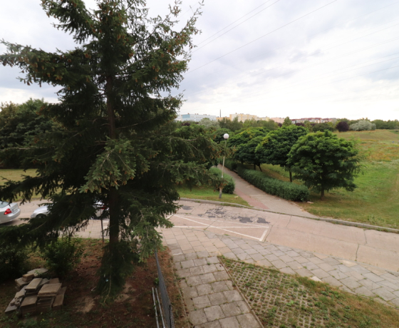 Gorzów Wielkopolski, Górczyn - 1550 zł (nr 868/2301/OMW)