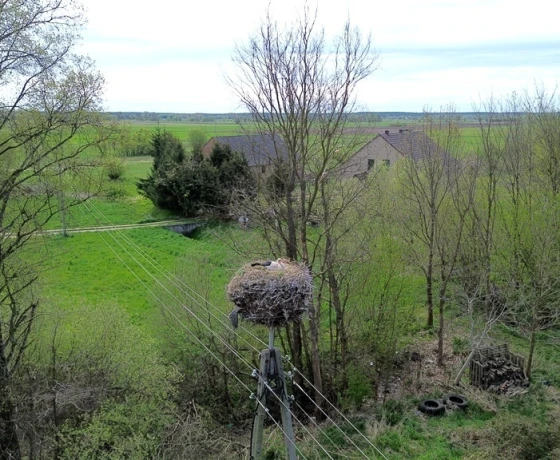 Studzionka - 129000 zł (nr 40/17696/OGS)