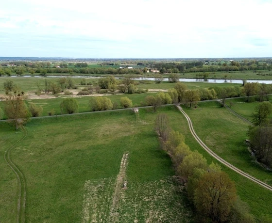 Studzionka - 129000 zł (nr 40/17696/OGS)