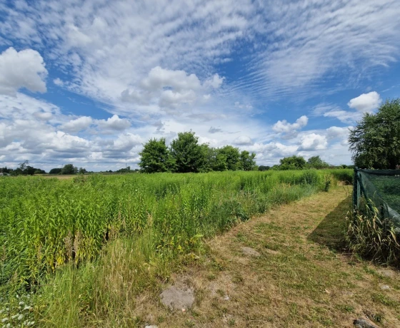 Deszczno - 89000 zł (nr 1063/2301/OGS)
