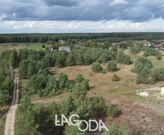 Łośno - 91780 zł (nr 798/3504/OGS)