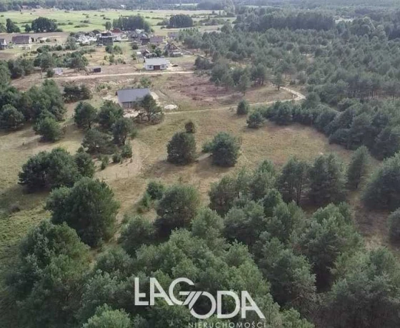 Łośno - 91780 zł (nr 798/3504/OGS)