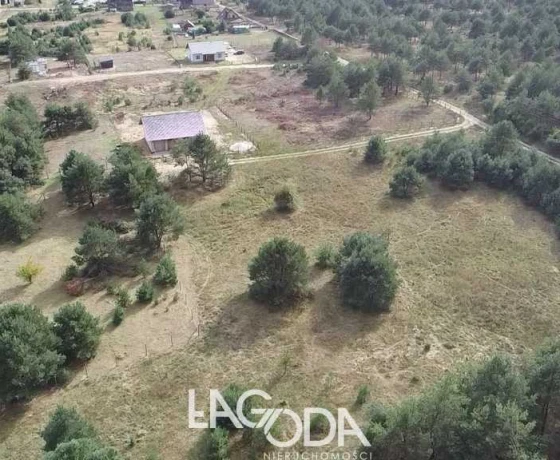 Łośno - 91780 zł (nr 798/3504/OGS)