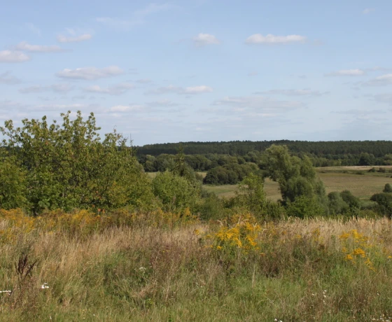 Działka na sprzedaż, Chwalęcice - 380 000 zł