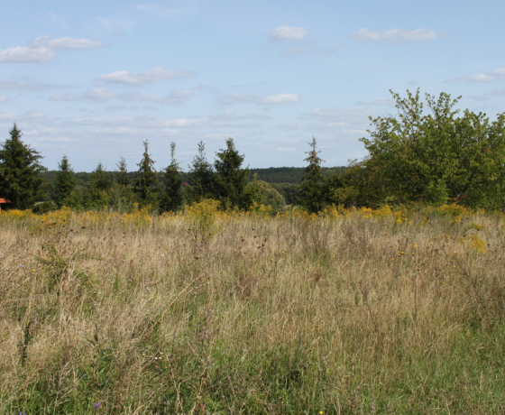 Chwalęcice - 380000 zł (nr 1064/2301/OGS)