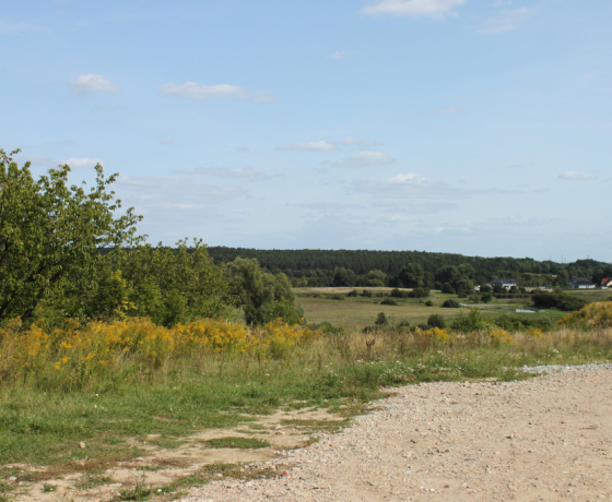 Chwalęcice - 380000 zł (nr 1064/2301/OGS)
