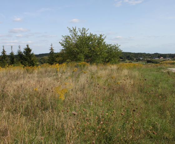 Chwalęcice - 380000 zł (nr 1064/2301/OGS)