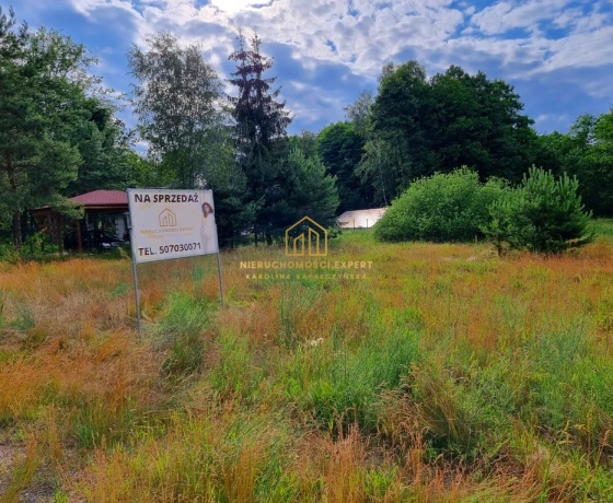 Santoczno - 160700 zł (nr 10/12623/OGS)