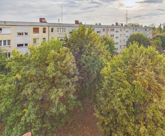 Gorzów Wielkopolski, Os. Staszica, Władysława Broniewskiego - 375000 zł (nr 118/17696/OMS)
