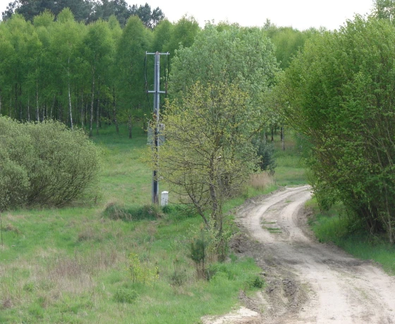 Siemczyno - 150000 zł (nr 736/8967/OGS)