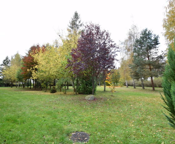 Różanki, Gorzowska - 329000 zł (nr 1548/2301/OMS)