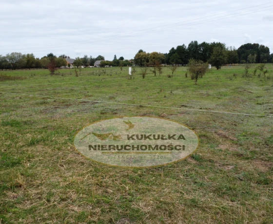 Borek - 55000 zł (nr 262/2364/OGS)